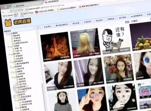 成人黄色小视频在线观看